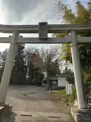 簳幹八幡宮(東京都)