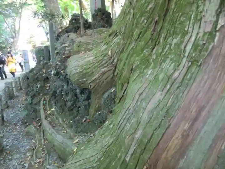 高尾山薬王院(東京都)