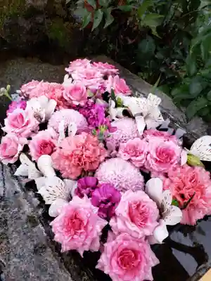 本郷氷川神社(東京都)