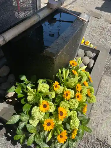 上尾御嶽神社の手水