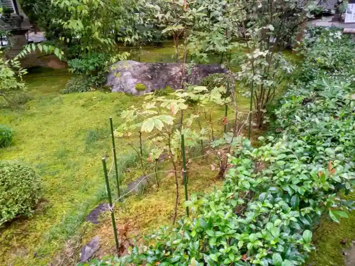 妙心寺(妙心禅寺)(京都府)