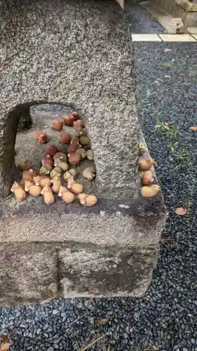 大藤神社(京都府)