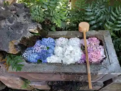本郷氷川神社(東京都)