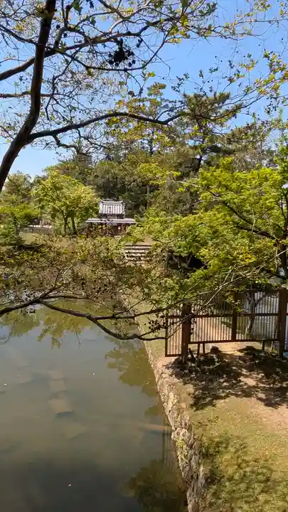 東大寺(奈良県)