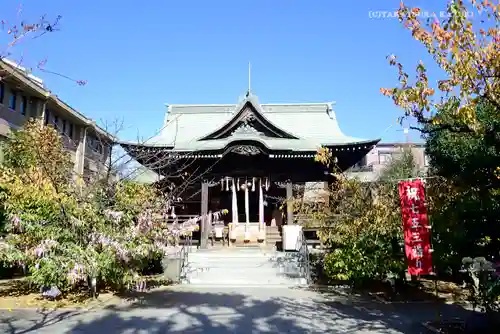 桜神宮の本殿・本堂