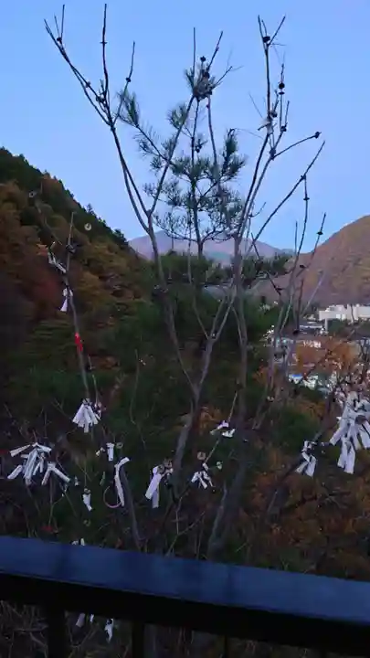楯岩鬼怒姫神社(栃木県)