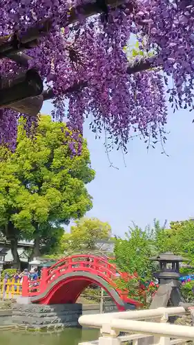 亀戸天神社の庭園