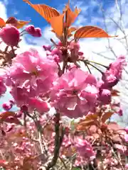 伊達神社の自然