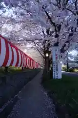 平野神社の自然