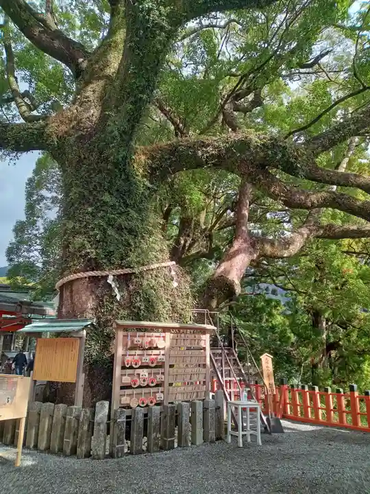 熊野那智大社(和歌山県)