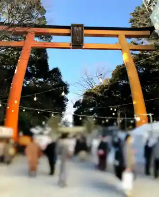 川越氷川神社(埼玉県)