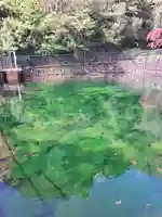 狩野厳島神社(神奈川県)