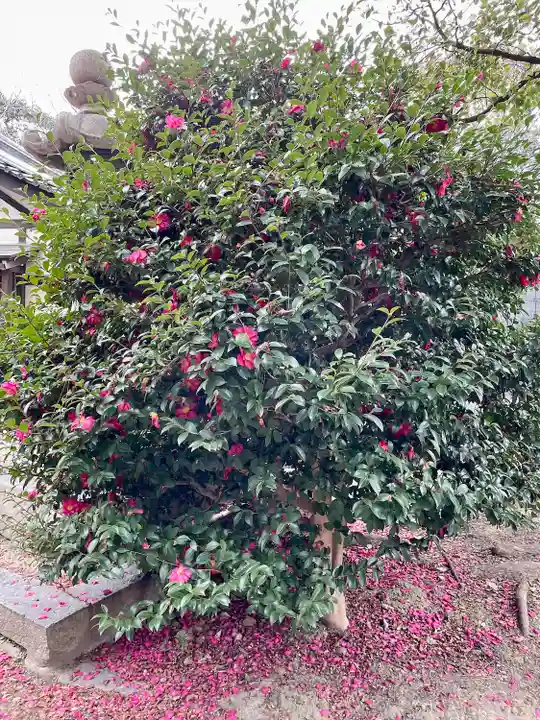 大海神社(住吉大社摂社)(大阪府)