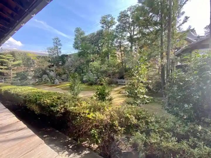 金臺寺(金台寺)の庭園