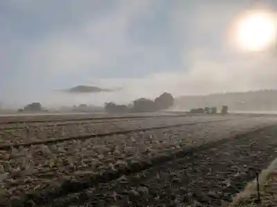 塩田八幡宮の{uncategorized: "未分類", other: "その他", undefined: "問題あり", building: "その他建物", grave: "お墓", sacred_gate: "鳥居", guardian: "狛犬", statue: "像", buddha: "仏像", history: "歴史", nature: "自然", garden: "庭園", animal: "動物", pagoda: "塔", temizu: "手水舎", mountain_gate: "山門・神門", sanctuary: "本殿・本堂", subordinate: "末社・摂社", art: "芸術", scenery: "景色", jizo: "地蔵", ema: "絵馬", goshuin: "御朱印", omikuji: "おみくじ", items: "授与品その他", amulet: "お守り", goshuincho: "御朱印帳", eats: "食事", festival: "お祭り", votive_dance: "神楽", shichigosan: "七五三参", wedding: "結婚式", experience: "体験その他", initially: "初詣", around: "周辺", anti_infection: "感染症対策"}