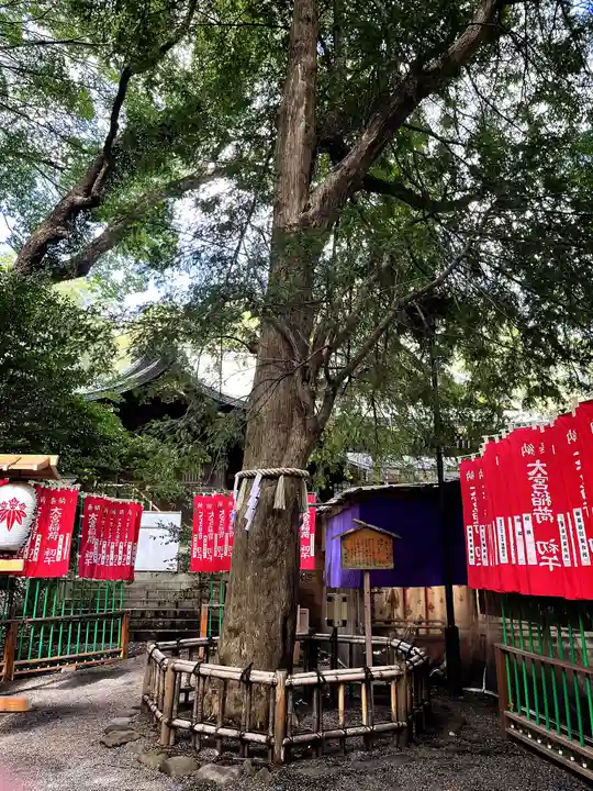 大宮八幡宮(東京都)