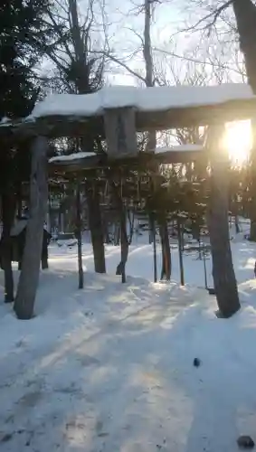 来運神社の鳥居