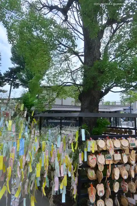 亀有香取神社(東京都)