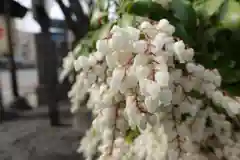 水火天満宮の自然