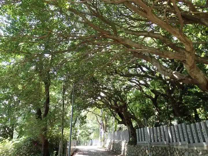 保久良神社の自然