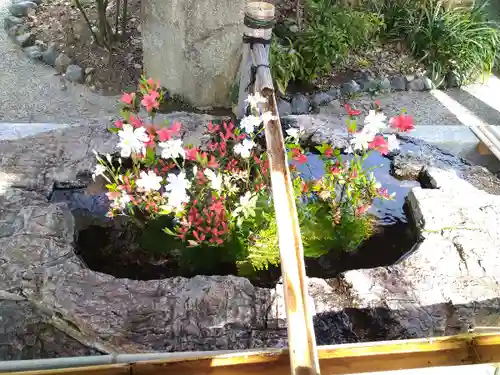 阿智神社の手水