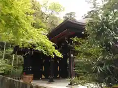 鶴岡八幡宮(神奈川県)