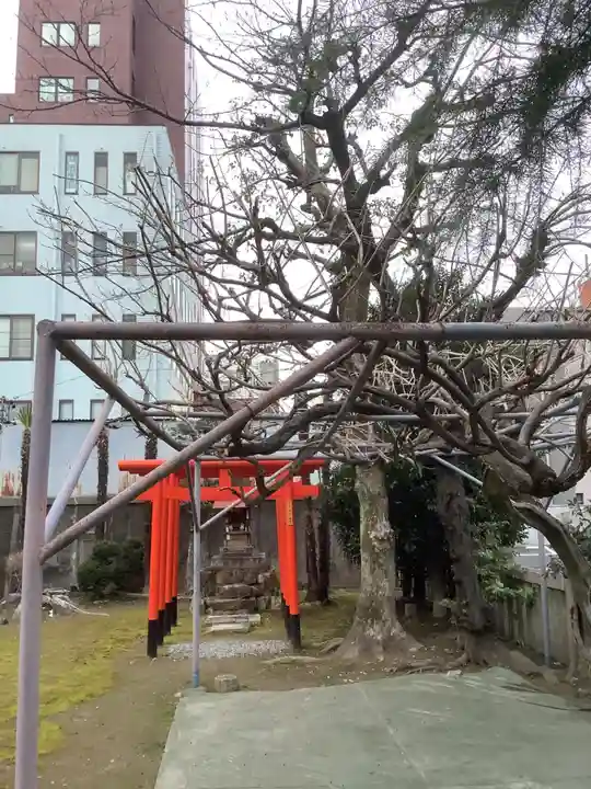縣神社の鳥居