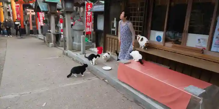 伏見稲荷大社の動物