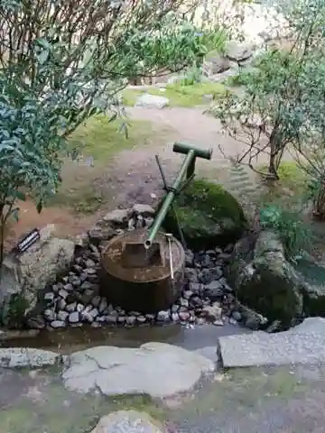 龍安寺の庭園