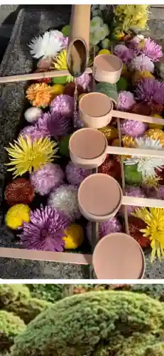 勝林寺の手水舎