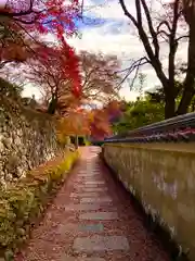 善峯寺(京都府)