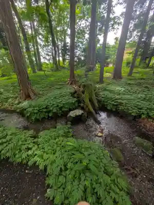 富士山東口本宮 冨士浅間神社(静岡県)