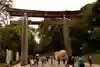 明治神宮の鳥居