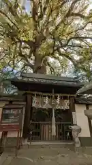 新熊野神社の自然