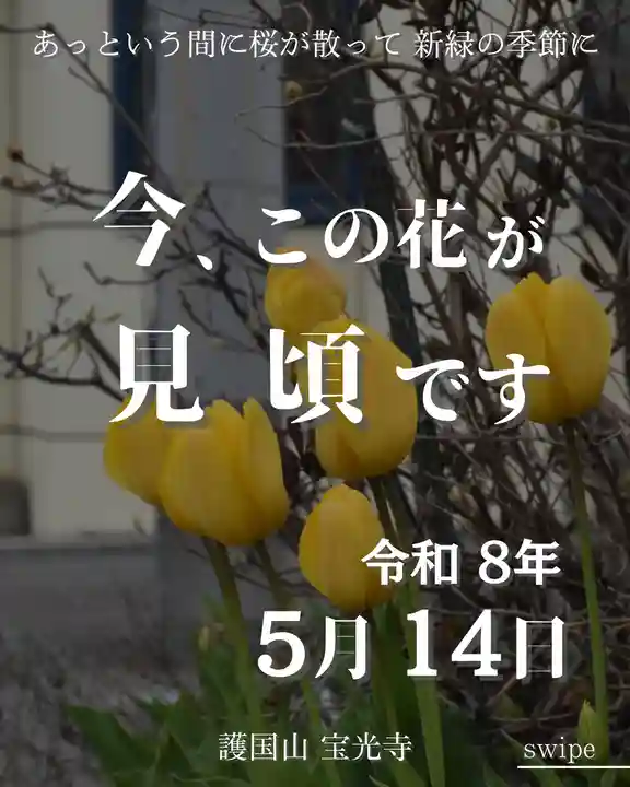 宝光寺(北海道)