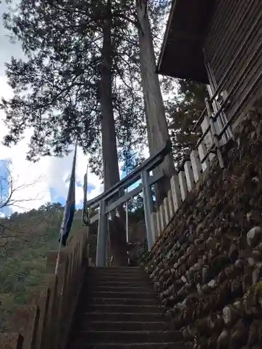 九頭龍神社(東京都)