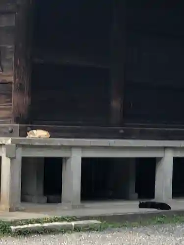 稱名寺(神奈川県)