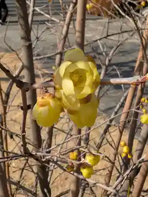寳幢院(東京都)