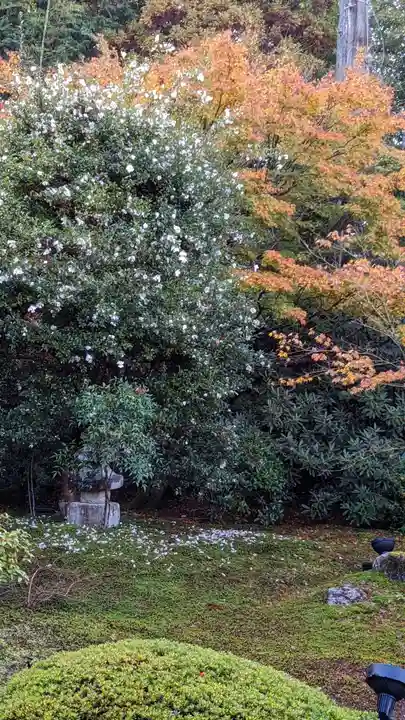 雲龍院(京都府)
