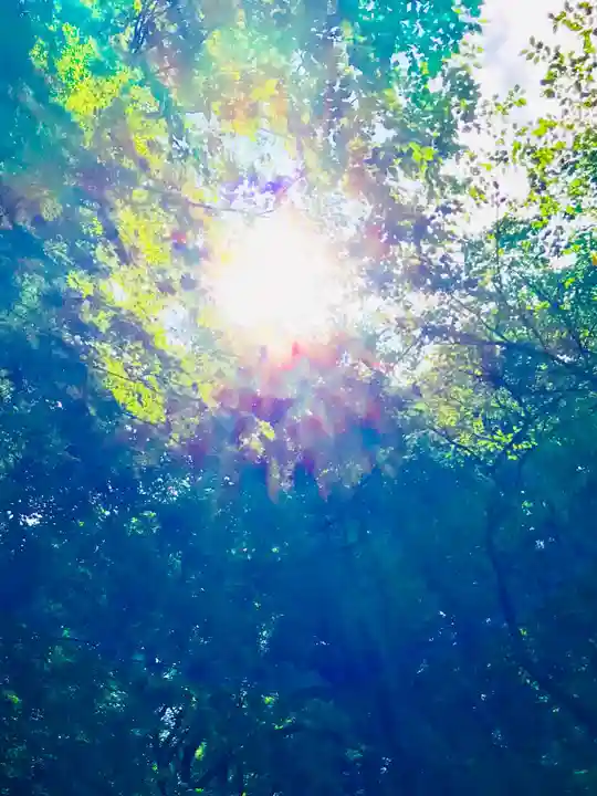 香取神宮(千葉県)