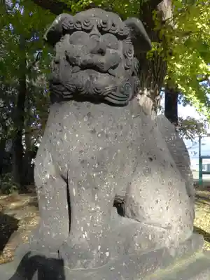 江南神社の狛犬