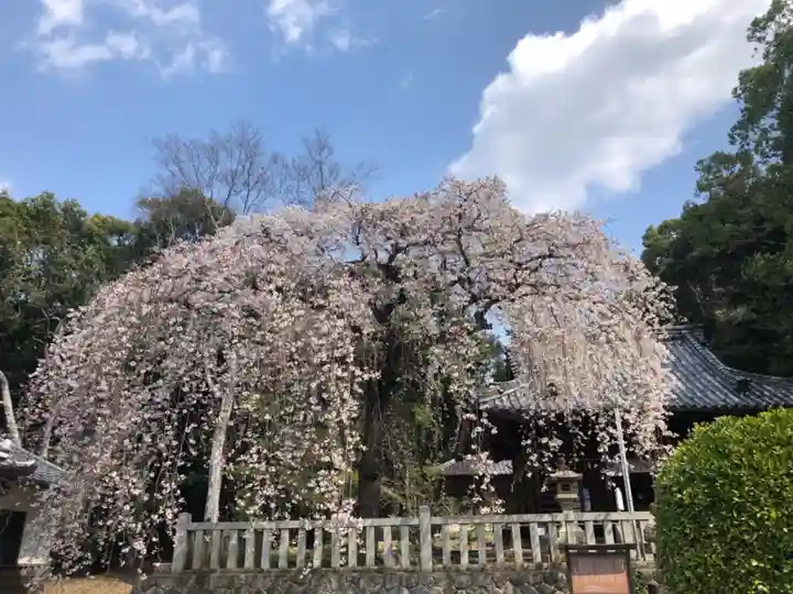 土呂八幡宮の自然