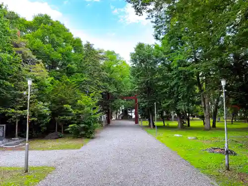 深川神社の鳥居