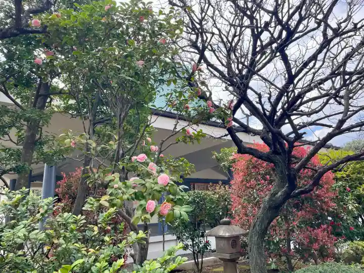蓮華寺の{uncategorized: "未分類", other: "その他", undefined: "問題あり", building: "その他建物", grave: "お墓", sacred_gate: "鳥居", guardian: "狛犬", statue: "像", buddha: "仏像", history: "歴史", nature: "自然", garden: "庭園", animal: "動物", pagoda: "塔", temizu: "手水舎", mountain_gate: "山門・神門", sanctuary: "本殿・本堂", subordinate: "末社・摂社", art: "芸術", scenery: "景色", jizo: "地蔵", ema: "絵馬", goshuin: "御朱印", omikuji: "おみくじ", items: "授与品その他", amulet: "お守り", goshuincho: "御朱印帳", eats: "食事", festival: "お祭り", votive_dance: "神楽", shichigosan: "七五三参", wedding: "結婚式", experience: "体験その他", initially: "初詣", around: "周辺", anti_infection: "感染症対策"}