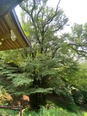 正法寺(滋賀県)