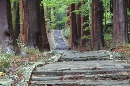 羽黒山五重塔(出羽三山神社)(山形県)