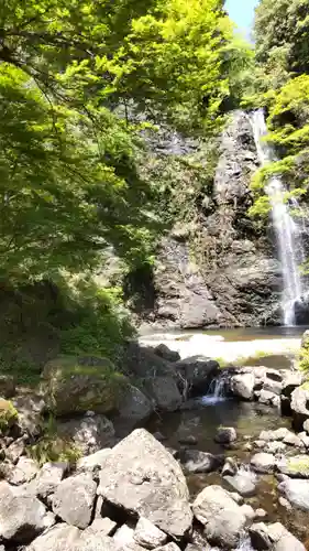 天児屋根命神社(大阪府)