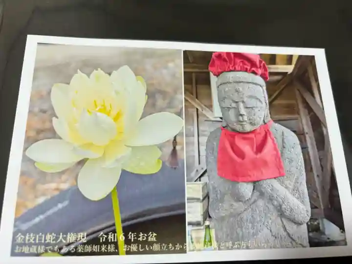 金枝白蛇大権現(栃木県)