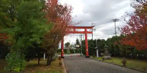 美瑛神社の鳥居