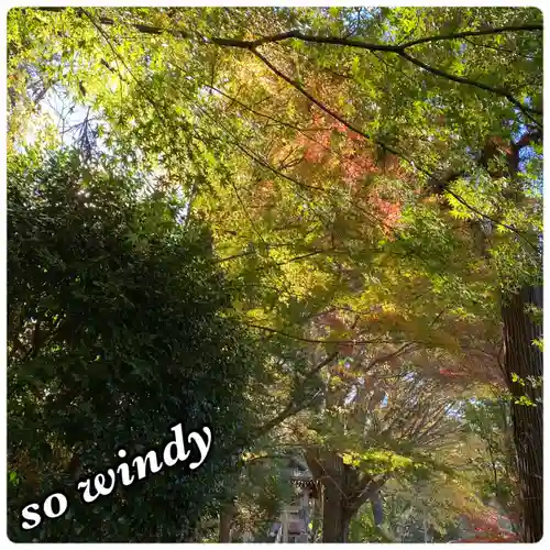 天台宗　長窪山　正覚寺(神奈川県)